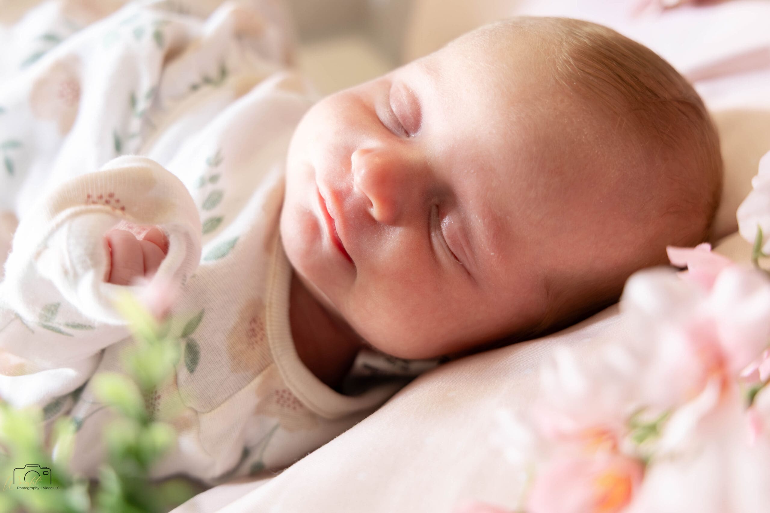 Amelia's newborn portrait
